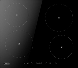 Induktionsfeld Reparatur Regenstauf